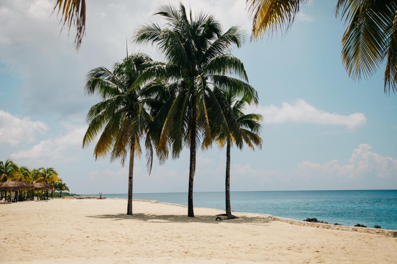 Coconut trees in the white sand of Cozumel with turquoise sea at the bottom
