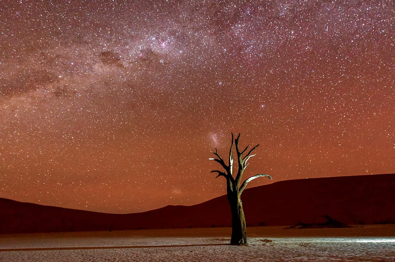 Deadvlei Dry Tree Under the Milky Way