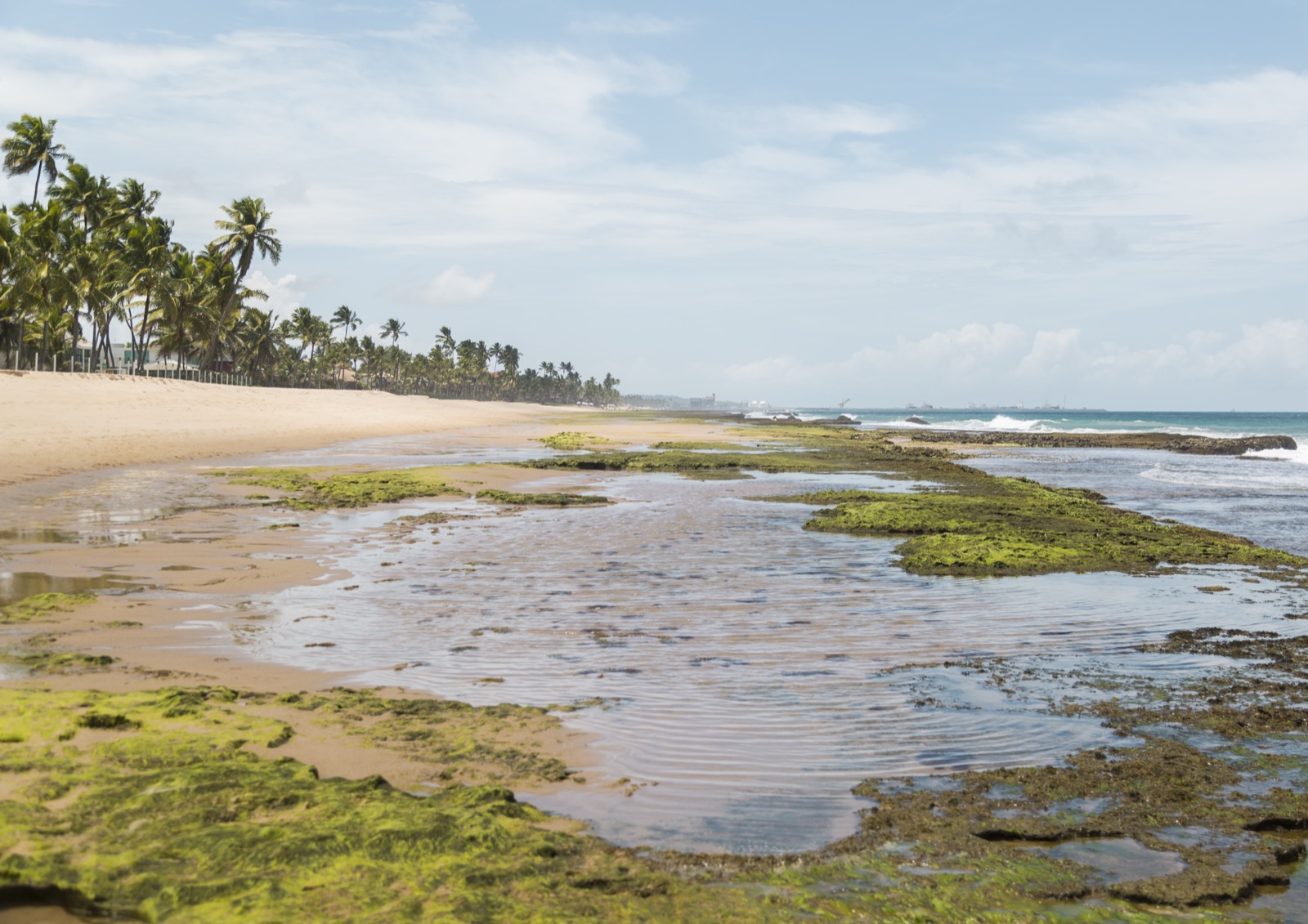 Muro Alto beach with coconut trees and natural pools at low tide